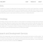 Web copy and brand statements