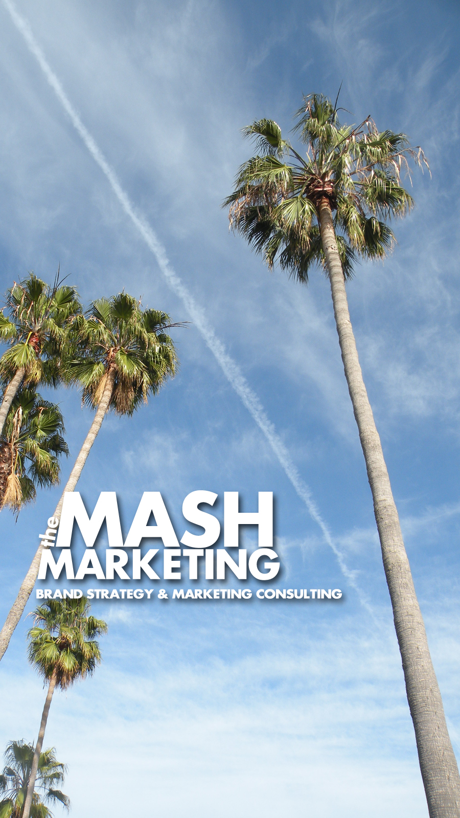 The Mash Marketing Brand Strategy and Marketing Consulting